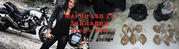 2c-b Горнозаводск
