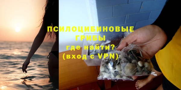 2c-b Горнозаводск