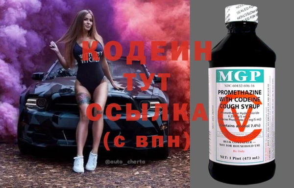 2c-b Горнозаводск