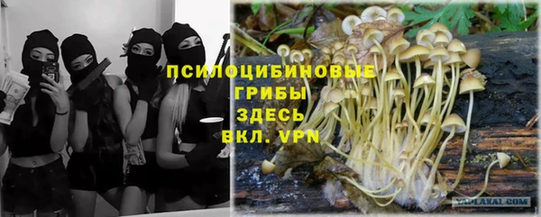 кристаллы Горняк