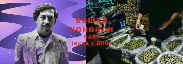 2c-b Горнозаводск