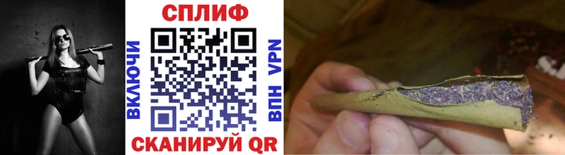 продажа наркотиков  кракен как войти  Бошки марихуана THC 21%  Могоча 